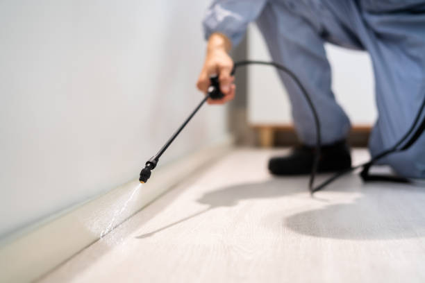 Licensed Cockroach Control service in Smithfield, NC - Nex Pest Control