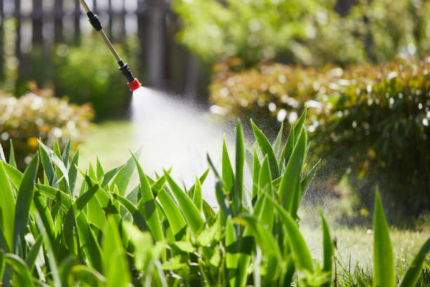 24/7 Emergency Cockroach Control experts in Smithfield, NC