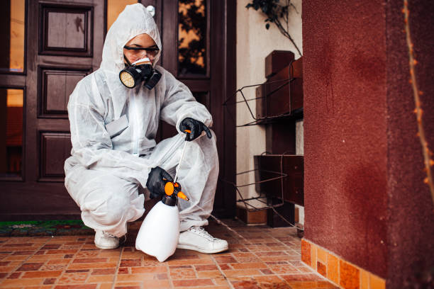 Reliable Cockroach Control contractor in Smithfield, NC by Nex Pest Control